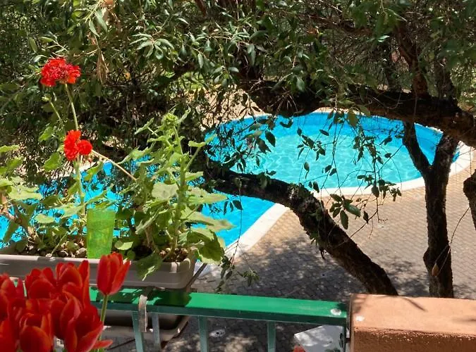 La Marina With Pool * Όλμπια